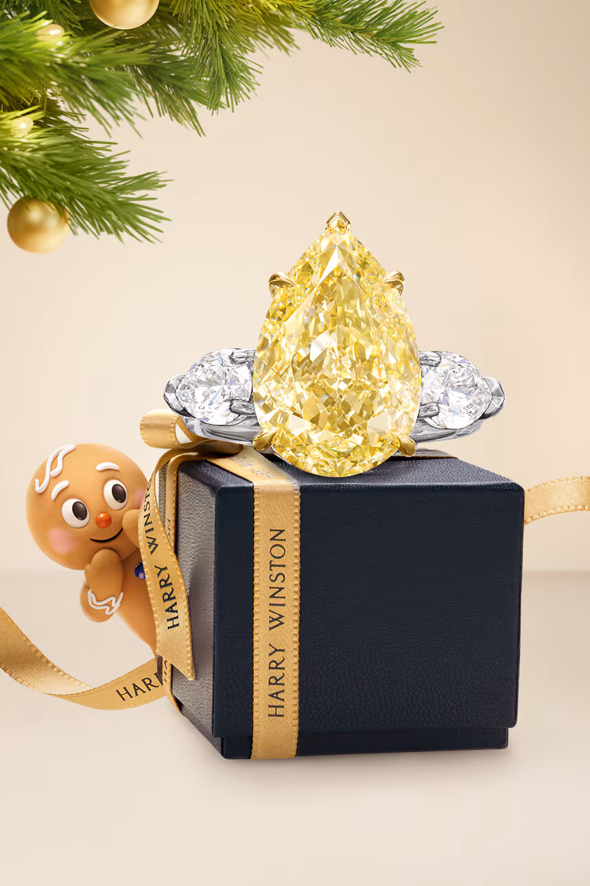 A Season Shaped in Brilliance